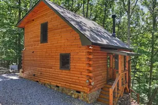 407 Arrowhead Pass, Cherrylog, GA 30522 - Photo 40
