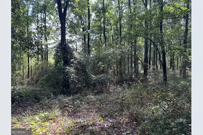 8126 Skitts Mountain Road, Lula, GA 30554 - Photo 22