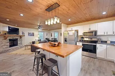 747 Matrix Lane #842, Ellijay, GA 30540 - Photo 4