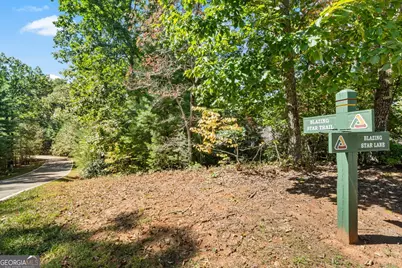 288 Blazingstar Trail, Big Canoe, GA 30143 - Photo 6