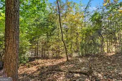 288 Blazingstar Trail, Big Canoe, GA 30143 - Photo 4