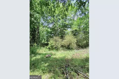 479 Sandtown Road SE #LOT 2, Cartersville, GA 30121 - Photo 20