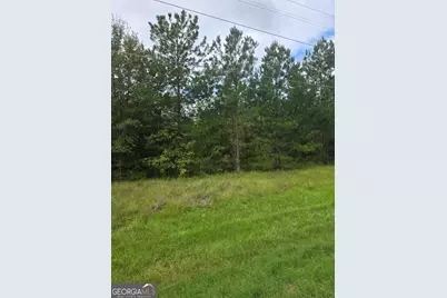 3102 Blackshear Highway, Baxley, GA 31513 - Photo 6