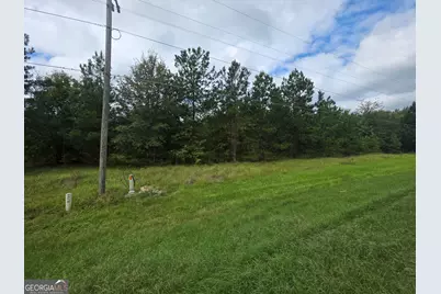 3102 Blackshear Highway, Baxley, GA 31513 - Photo 2