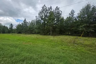 3102 Blackshear Hwy, Baxley, GA 31513 - Photo 1