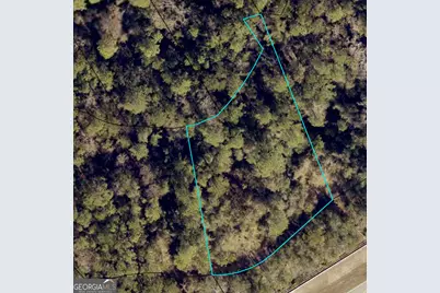 110 Canoe Run, Woodbine, GA 31569 - Photo 2