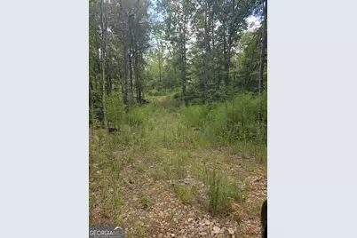 888 Forrester Cemetery Road, Covington, GA 30014 - Photo 4