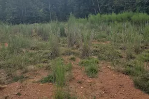 888 Forrester Cemetery Rd, Covington, GA 30014 - Photo 1