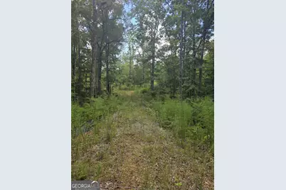888 Forrester Cemetery Road, Covington, GA 30014 - Photo 2