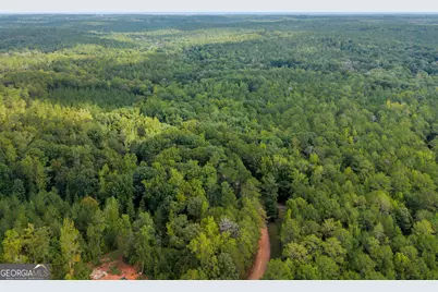 0 Montpelier Springs Road, Forsyth, GA 31029 - Photo 10