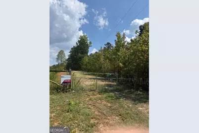 00 Monroe Highway, Bethlehem, GA 30620 - Photo 2