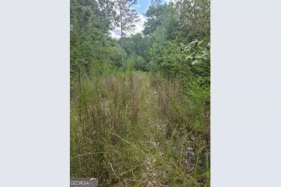 890 Forrester Cemetery Road, Covington, GA 30014 - Photo 2