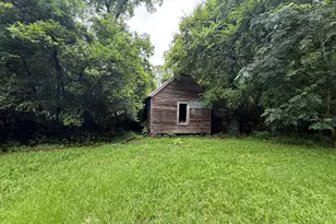 121 S Bailey Ave, Leslie, GA 31764 - Photo 12