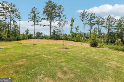 48 Umber Lane #LOT 18, Newnan, GA 30263 - Photo 32