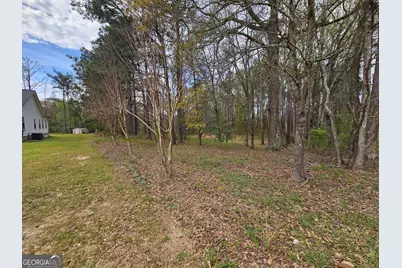 17 Goodwyn Road, Newnan, GA 30265 - Photo 84