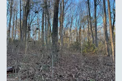 4638 Highway 63, Carnesville, GA 30521 - Photo 50