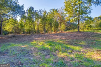 4638 Highway 63, Carnesville, GA 30521 - Photo 12