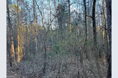 4638 Highway 63, Carnesville, GA 30521 - Photo 54