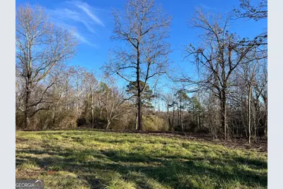 4638 Highway 63, Carnesville, GA 30521 - Photo 40