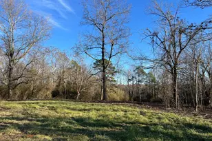 4638 Hwy 63, Carnesville, GA 30521 - Photo 40