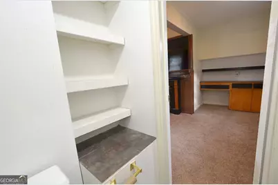 805 Antioch Church Road, Eastman, GA 31023 - Photo 38