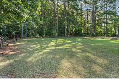 430 Hayward Bishop Way, Senoia, GA 30276 - Photo 38