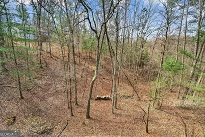750 Lemmon Lane S #200, Ellijay, GA 30540 - Photo 12