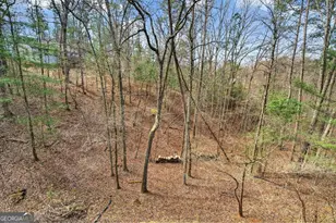 750 Lemmon Ln S, Ellijay, GA 30540 - Photo 12