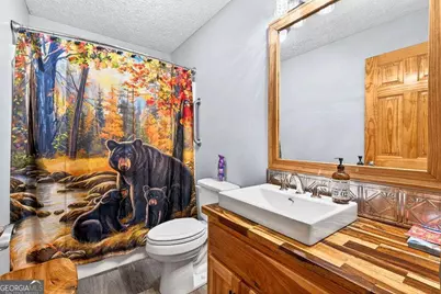 750 Lemmon Lane S #200, Ellijay, GA 30540 - Photo 14