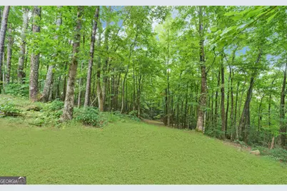 1055 Wolfpen Trail, Ellijay, GA 30536 - Photo 42