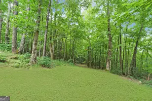 1055 Wolfpen Trail, Ellijay, GA 30536 - Photo 42