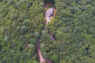1055 Wolfpen Trail, Ellijay, GA 30536 - Photo 56