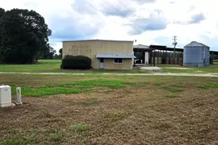12230 Hwy 46, Statesboro, GA 30458 - Photo 1