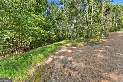 375 Mountain Crest Drive, Clarkesville, GA 30523 - Photo 8