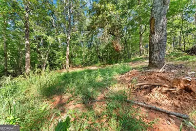 375 Mountain Crest Drive, Clarkesville, GA 30523 - Photo 10