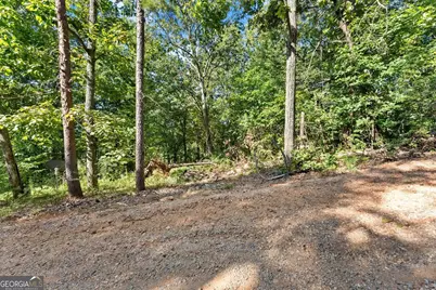 375 Mountain Crest Drive, Clarkesville, GA 30523 - Photo 4