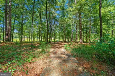 241 Grizzly Bear Lane, Hartwell, GA 30643 - Photo 38