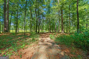 241 Grizzly Bear Ln, Hartwell, GA 30643 - Photo 38