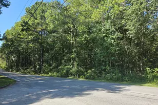 0 Phipps Rd, Palmetto, GA 30268 - Photo 1