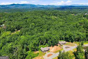 450 Jake's Lndg Wy, Ellijay, GA 30540 - Photo 26