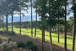 1031 Mill Creek, Greensboro, GA 30642 - Photo 30