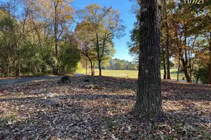 467 Hickory Grove Ch Rd, Monroe, GA 30656 - Photo 10