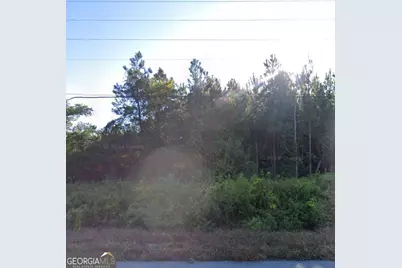 0 Willie Varnum Road, Dothan, AL 36301 - Photo 2