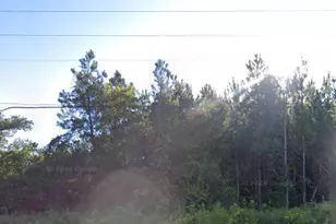 0 Willie Varnum Rd, Dothan, AL 36301 - Photo 2