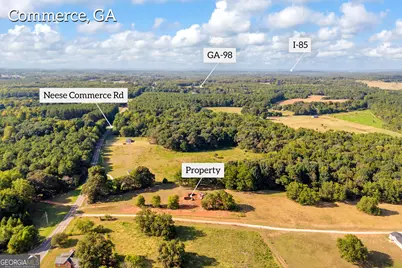 1347 Neese Commerce Road, Commerce, GA 30530 - Photo 14
