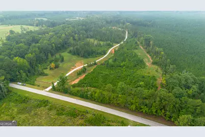 0 Lanier Rd (16 Acres), White Plains, GA 30678 - Photo 2