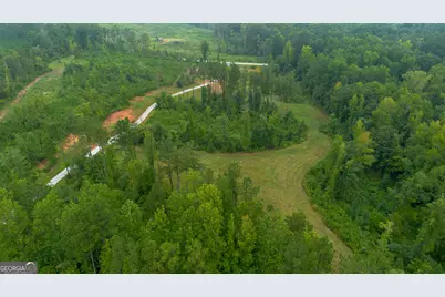 0 Lanier Rd (16 Acres), White Plains, GA 30678 - Photo 8