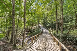 10323 Old CCC Camp Rd, Ellijay, GA 30540 - Photo 2