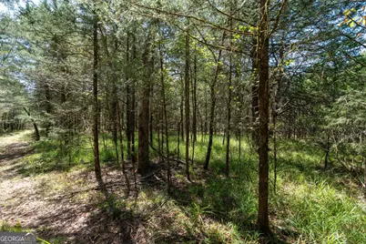 1419 Bobby Brown State Park Road, Elberton, GA 30635 - Photo 36