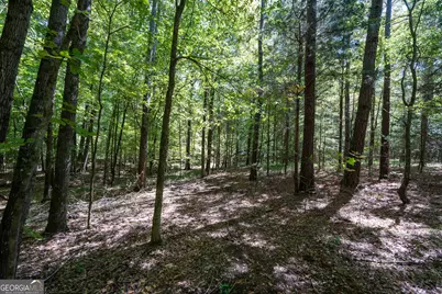 1419 Bobby Brown State Park Road, Elberton, GA 30635 - Photo 48